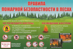 Соблюдайте правила пожарной безопасности в лесу.